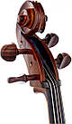 Віолончель STENTOR 1102/E STUDENT I CELLO OUTFIT 1/2, фото 8