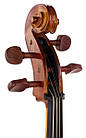 Віолончель STENTOR 1102/F STUDENT I CELLO OUTFIT 1/4, фото 8