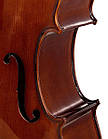 Віолончель STENTOR 1102/F STUDENT I CELLO OUTFIT 1/4, фото 6