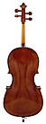 Віолончель STENTOR 1102/F STUDENT I CELLO OUTFIT 1/4, фото 3