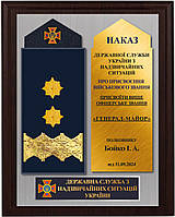 Днс-погани сувенір до присвоєння звання