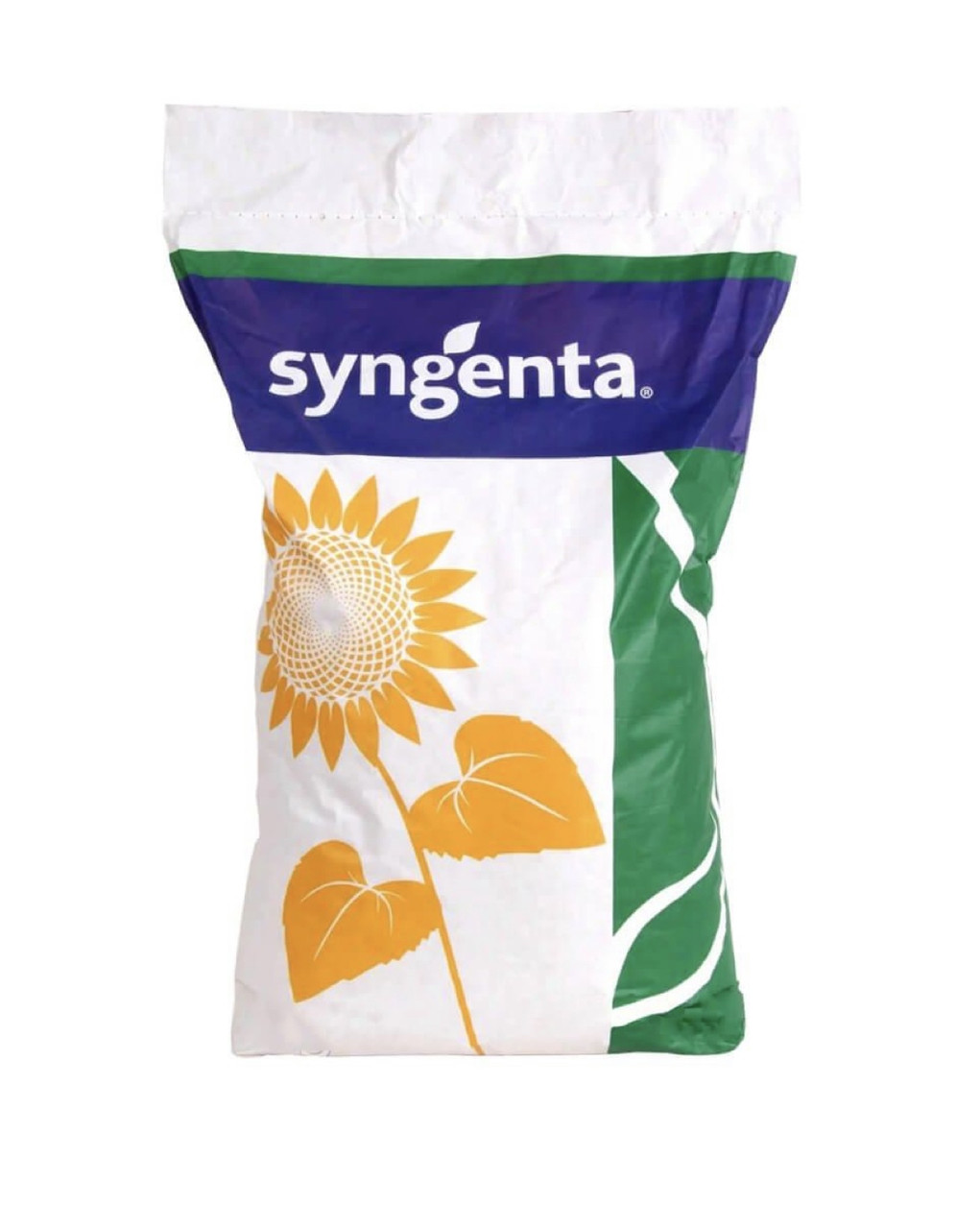 Соняшник Аризона Syngenta