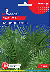 Пальма Вашингтонія віялова насіння (3 шт) Collection, TM GL Seeds