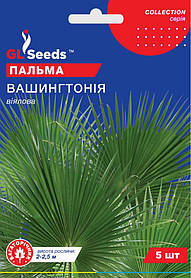 Пальма Вашингтонія віялова насіння (5 шт) Collection, TM GL Seeds
