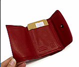 Маленький жіночий гаманець Katana, фото 2