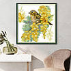 Набір для вишивання за нанесеною на канву схемою "Sparrows And Winter Jasmine". AIDA 14CT printed 34*34 см, фото 10