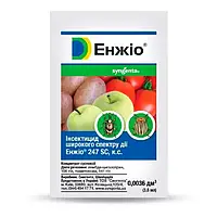Енжіо 3,6мл Syngenta (Інсектицид)