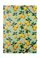 Папка на гумці, A4, LEMONS, салатова