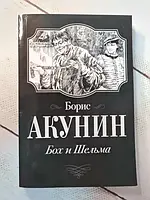 Книга - Борис Акунин бох и шельма (мягкая обл)