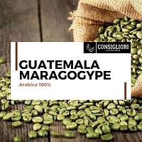 ЗЕЛЕНА зернова кава "МАРАГОДЖИП ГВАТЕМАЛА", Арабіка 100% (ЕЛІТ)