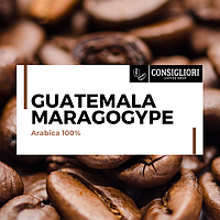 Зернова кава "ГВАТЕМАЛА МАРАГОДЖИП", Арабіка 100% (ЕЛІТ)