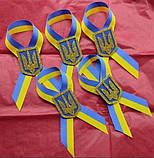 Брошка українська, фото 2