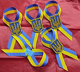 Брошка українська, фото 3