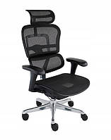 Офісне крісло Ergohuman 2 Basic Mesh Black