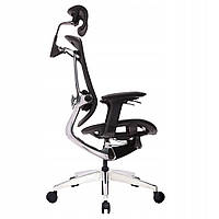 Ергономічне офісне крісло Maven - здоровий хребет