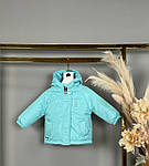Куртка дитяча демісезонна з капюшоном на дівчинку 74-98 см (2кв) "DFK" купити недорого від прямого постачальника