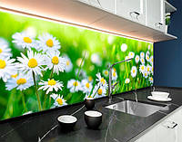 Наклейка на кухонный фартук 60 х 250 см, фотопечать с защитной ламинацией, ромашки, полевые цветы,БП-fl11737-5