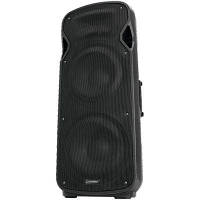 Акустическая система Omnitronic VFM-2212 (Passive Box 2x12Woofer Treiber 150W RMS)