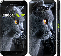 Панель Endorphone на Samsung Galaxy A5 (2017) Красивый кот (3038u-444-26985) BB, код: 1390594