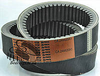 Ремінь 59-23 X/H - 2161 кат.№:244420A1 Harvest Belts