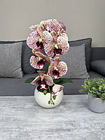 Композиция Vip из латексных орхидей на одну веточку в керамическом бежевом кашпо, искусственные цветы