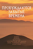 Пробуждаются зaбытые времeнa, том 3