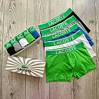 Труси чоловічі (Єгипет)