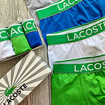 Подарунковий комплект чоловічих трусів-боксерів Lacoste з бавовни, 3 шт, фото 6