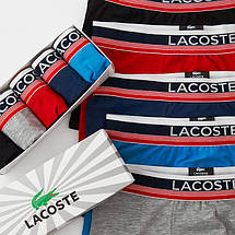 Набір чоловічих трусів (труси боксери для чоловіків) Lacoste DARK, бавовна, 5 шт, фото 3