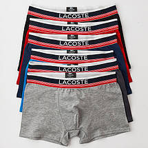 Набір чоловічих трусів (труси боксери для чоловіків) Lacoste DARK, бавовна, 3 шт, фото 6
