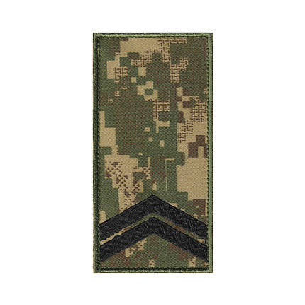 Вишитий погон молодшого сержанта Хижак піксель на липучці., фото 1