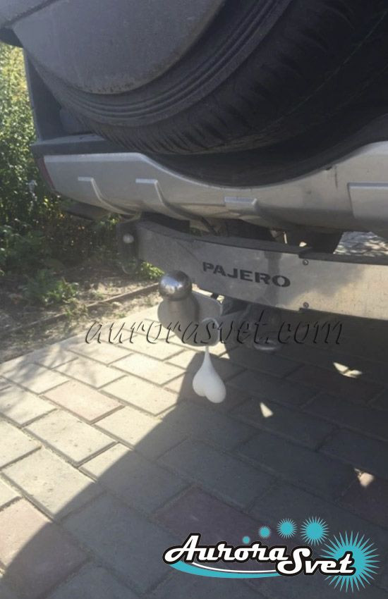 яйца для автомобиля