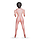 Надувна секс-лялька Гірськична з трьома робочими отворами, зі знімним мастурбатором, зріст 155 см, фото 3