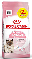 Royal Canin Mother and Babycat 10кг - корм для кошенят та вагітних/годуючих кішок