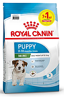 Royal Canin Mini Puppy 8кг для цуценят міні порід