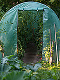 Теплиця парник для городу та саду з вікнами і дверима  альтанка (сталевий каркас, плівка, шнурок) +москітна сітка зелена 7м2, фото 4