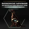 Pro Plan Large Athletic Adult Sensitive Digestion сухий корм для собак великих порід з ягням 14 кг, фото 7