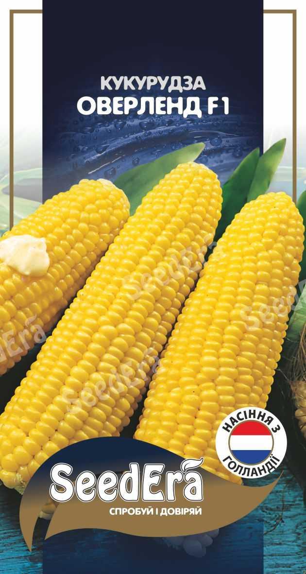 Кукурудза Цукрова ОВЕРЛЕНД F1, 20 шт, Syngenta Seeds B.V., Нідерланди