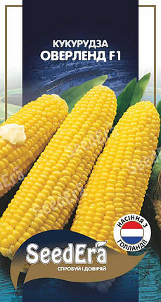 Кукурудза Цукрова ОВЕРЛЕНД F1, 20 шт, Syngenta Seeds B.V., Нідерланди, фото 1