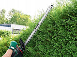 Електричний кущоріз PARKSIDE PHS 650 A1, фото 2
