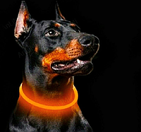 Ошейник USB с подсветкой, ошейник светодиодный универсальный для собак ,Светодиодный ошейник для собак