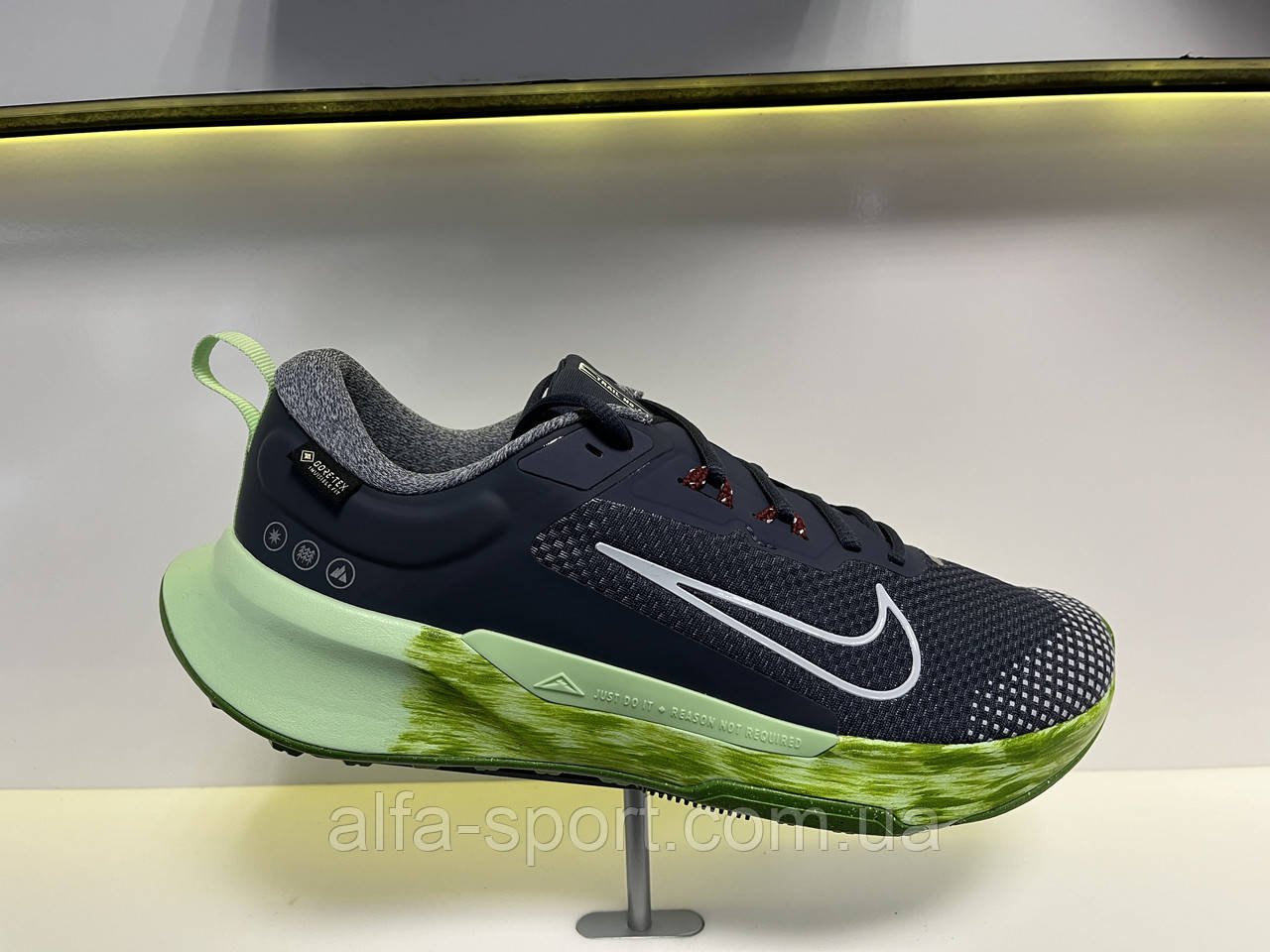 Кросівки Nike Juniper Trail 2 GTX (FB2067-403), фото 1
