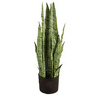 Штучна рослина Engard Sansevieria 65 см (DW-11)