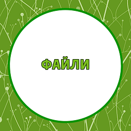 Файли, папки з файлами