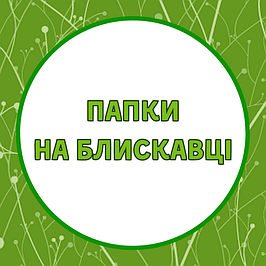Папки на блискавці, з бігунком