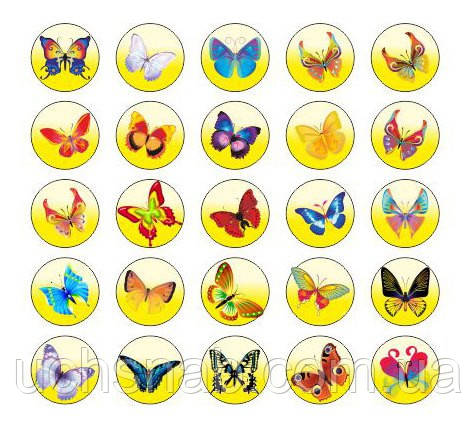Магніти "Метелик", фото 1