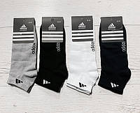 Носки молодежные спортивные короткие ADIDAS р 36-39 (1уп/12пар) "NEW SOCKS" купить оптом в Одессе на 7 км