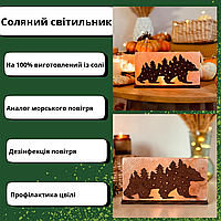 Нічник із солі суцільного шматка Соляні світильники Соляний світильник Соляні лампи та СОЛЕВНІ світильники