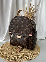 Louis Vuitton Backpack BB14001