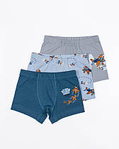 Дитяча білизна для хлопчиків, Туреччина. Боксерки для хлопчиків TM Baykar оптом р.1 (98-104 см)